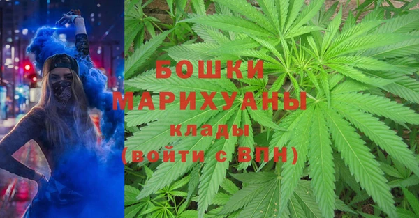 шишки Нягань