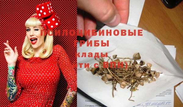 соль курить ск Няндома