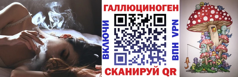где купить наркотик  Астрахань  Псилоцибиновые грибы ЛСД 